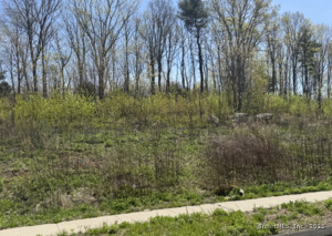 Homes for sale in Bristol, CT | 156 Corbin Rdg, Bristol, CT 06010 | MLS# 24092461