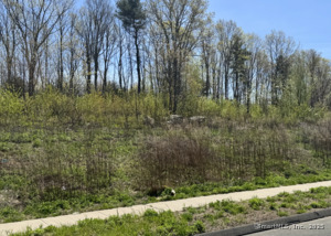 Homes for sale in Bristol, CT | 156 Corbin Rdg, Bristol, CT 06010 | MLS# 24092461