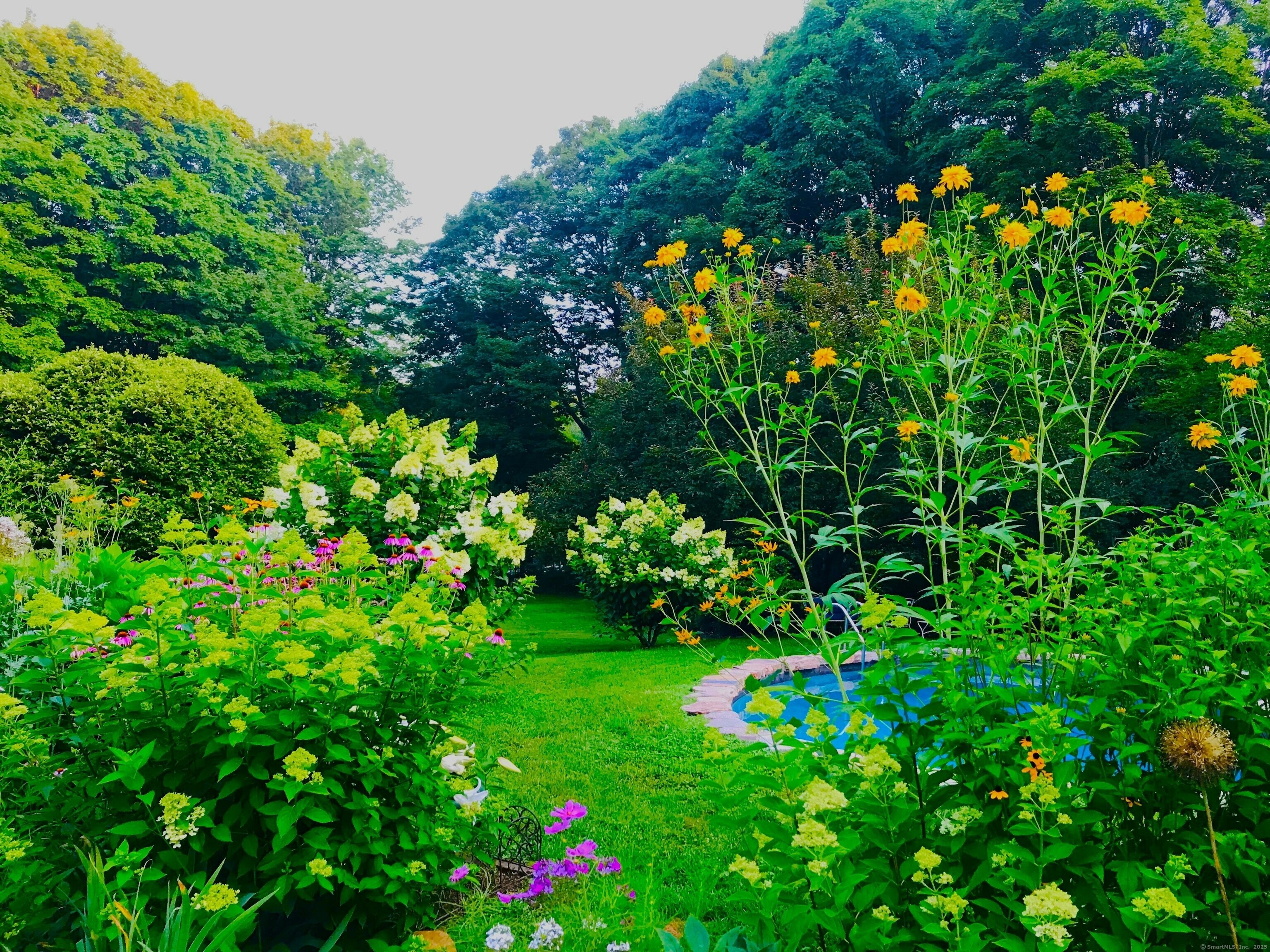 721 Ridgefield, Wilton, Connecticut 06897