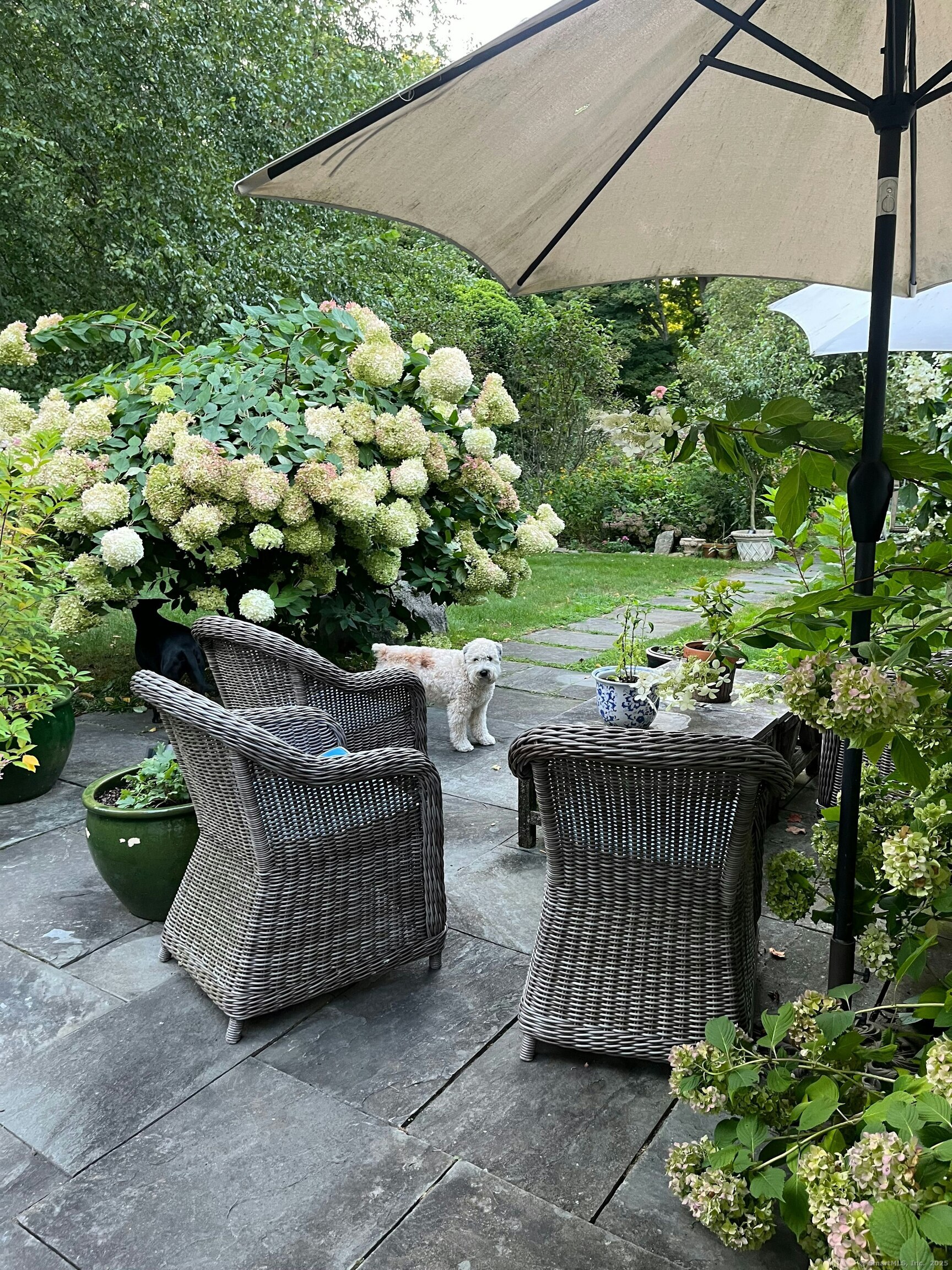 721 Ridgefield, Wilton, Connecticut 06897