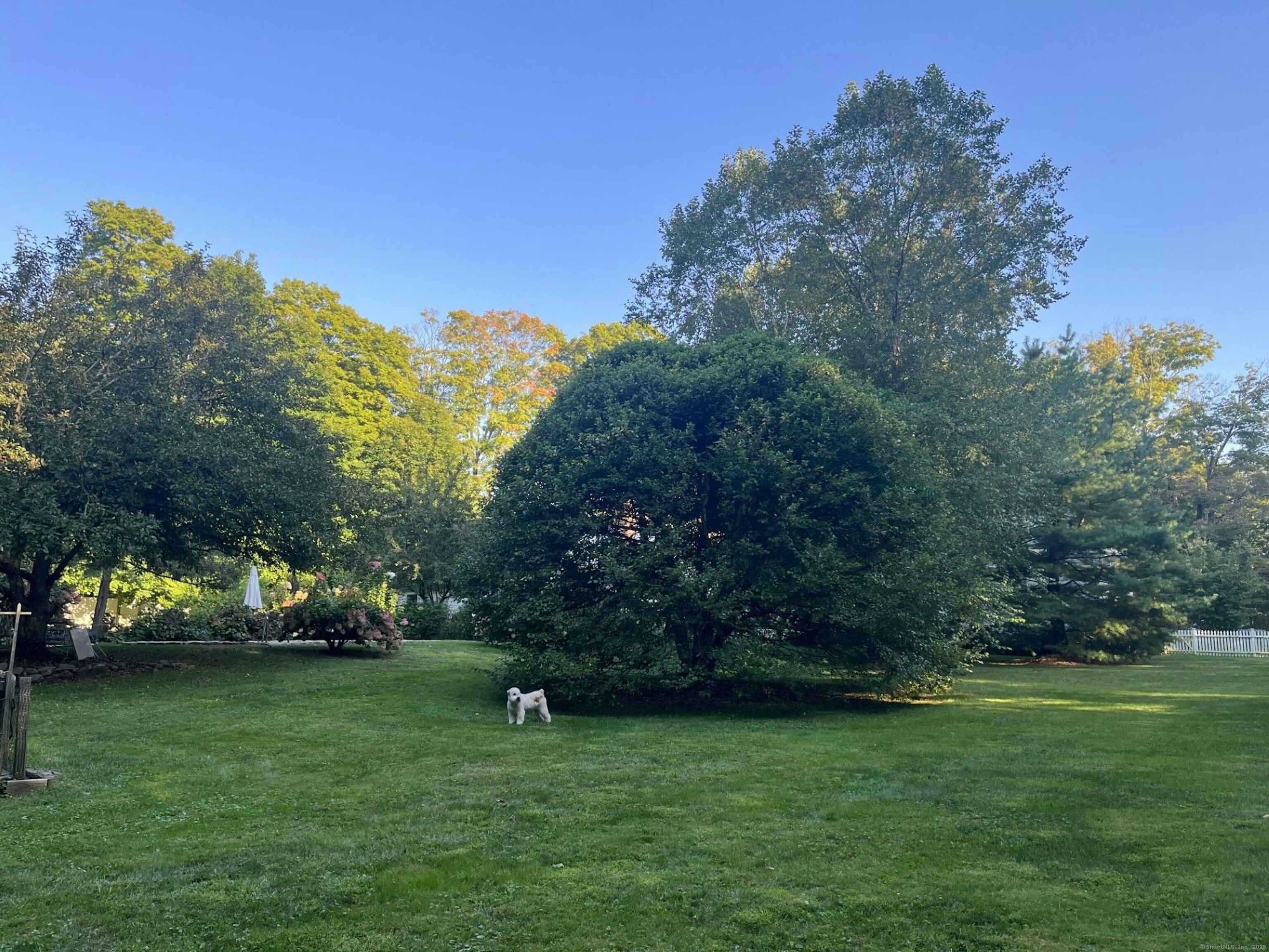721 Ridgefield, Wilton, Connecticut 06897