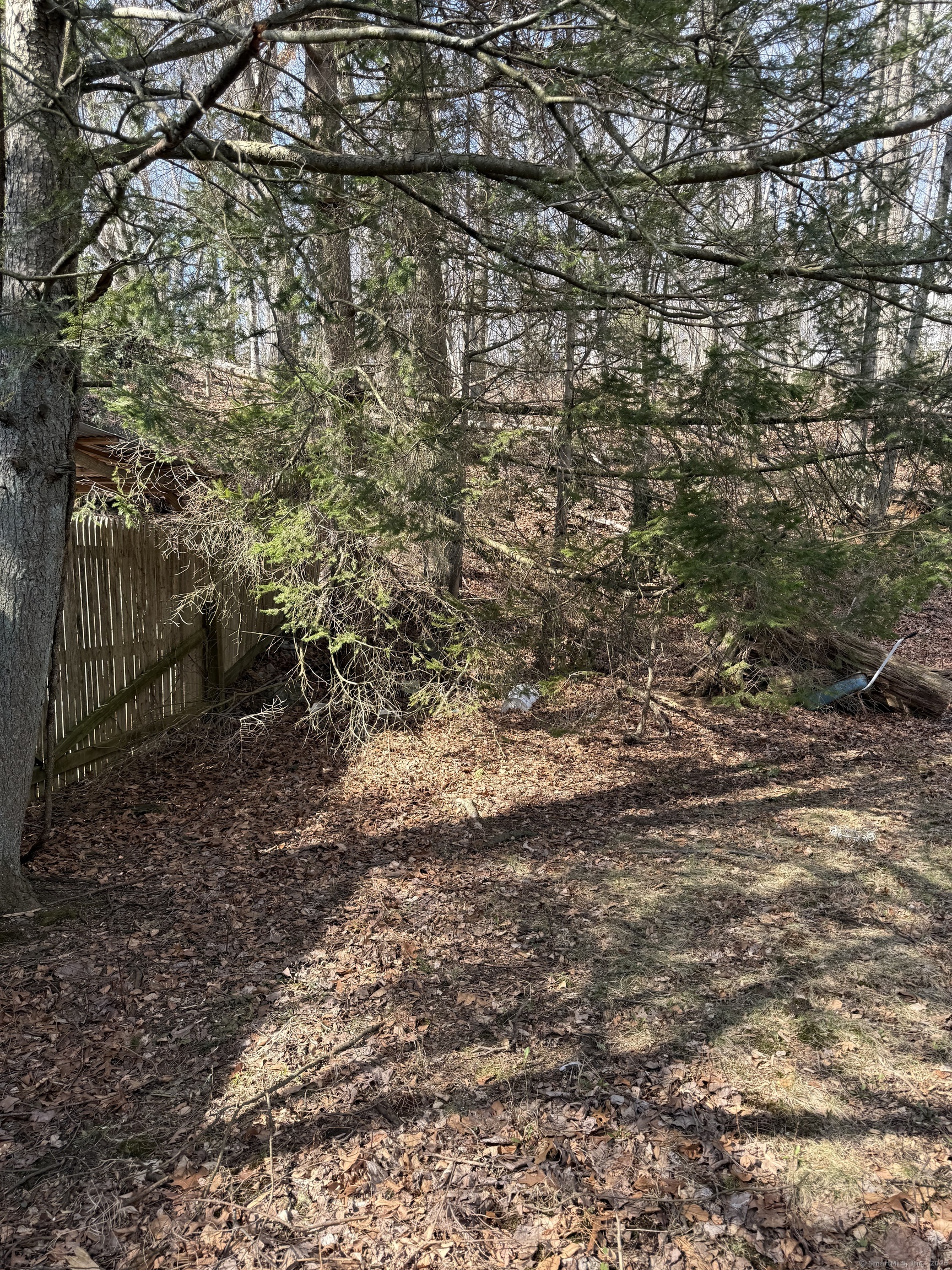 50 Laurel, Derby, Connecticut 06418