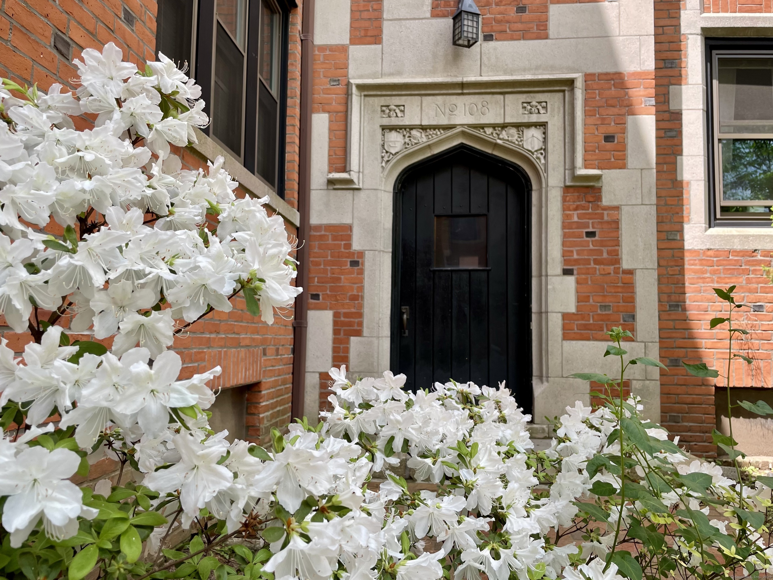 106 Livingston Street New Haven CT