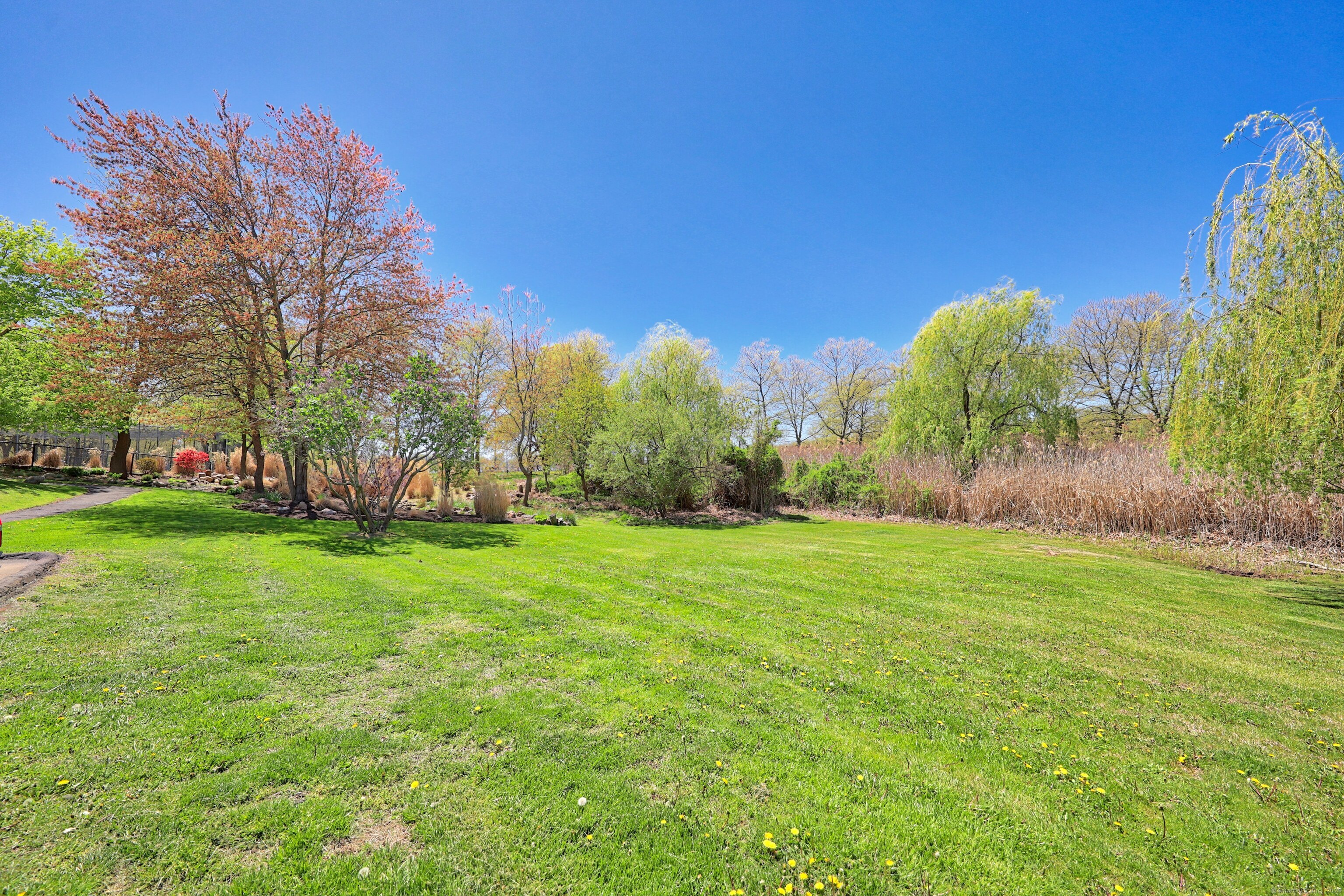418 Woodward, New Haven, Connecticut 06512