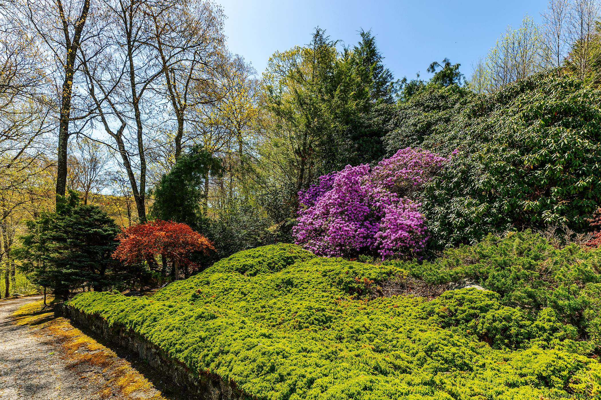 155 Shortwoods, New Fairfield, Connecticut 06812