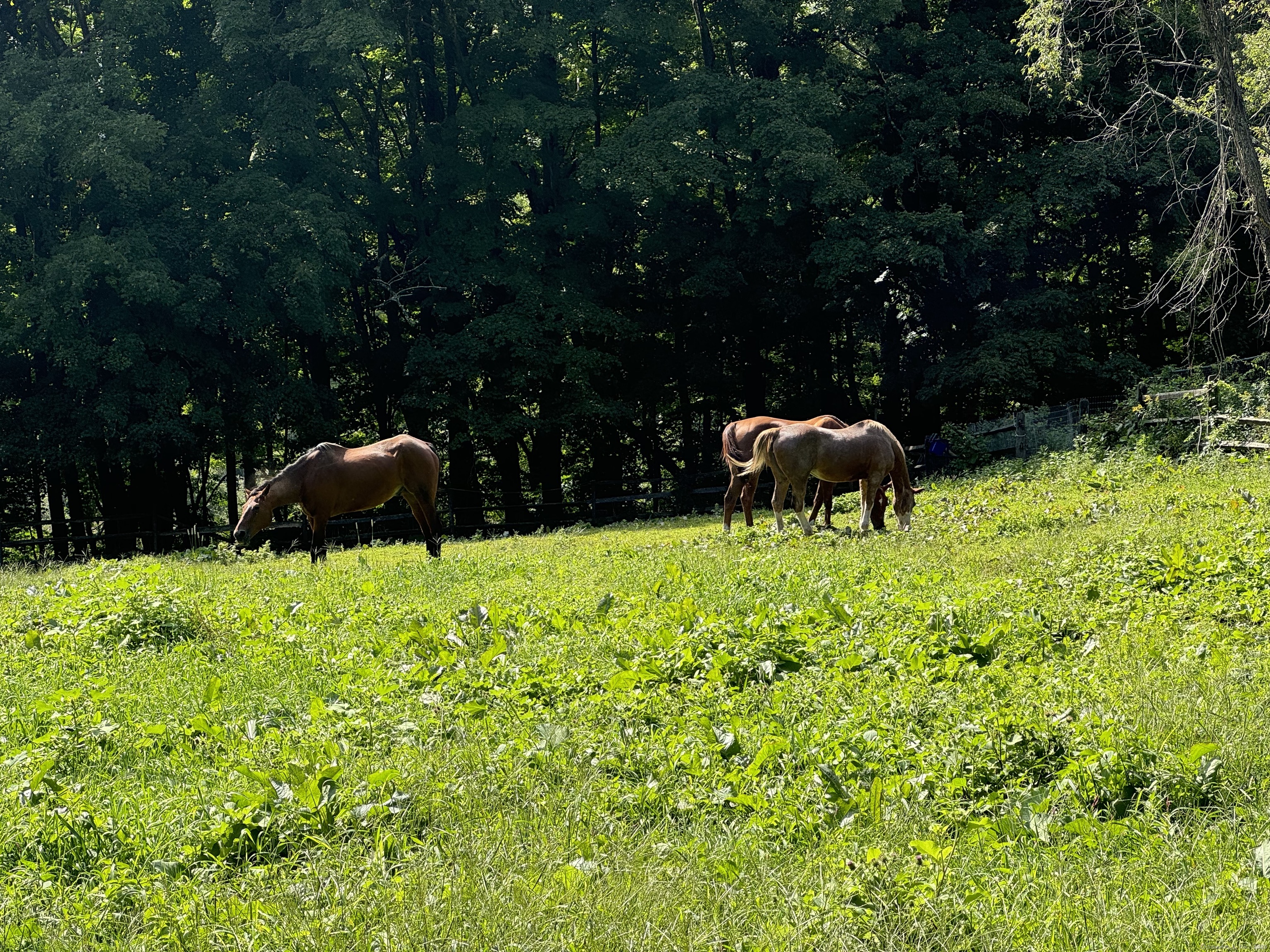 23 Burnett, New Milford, Connecticut 06776