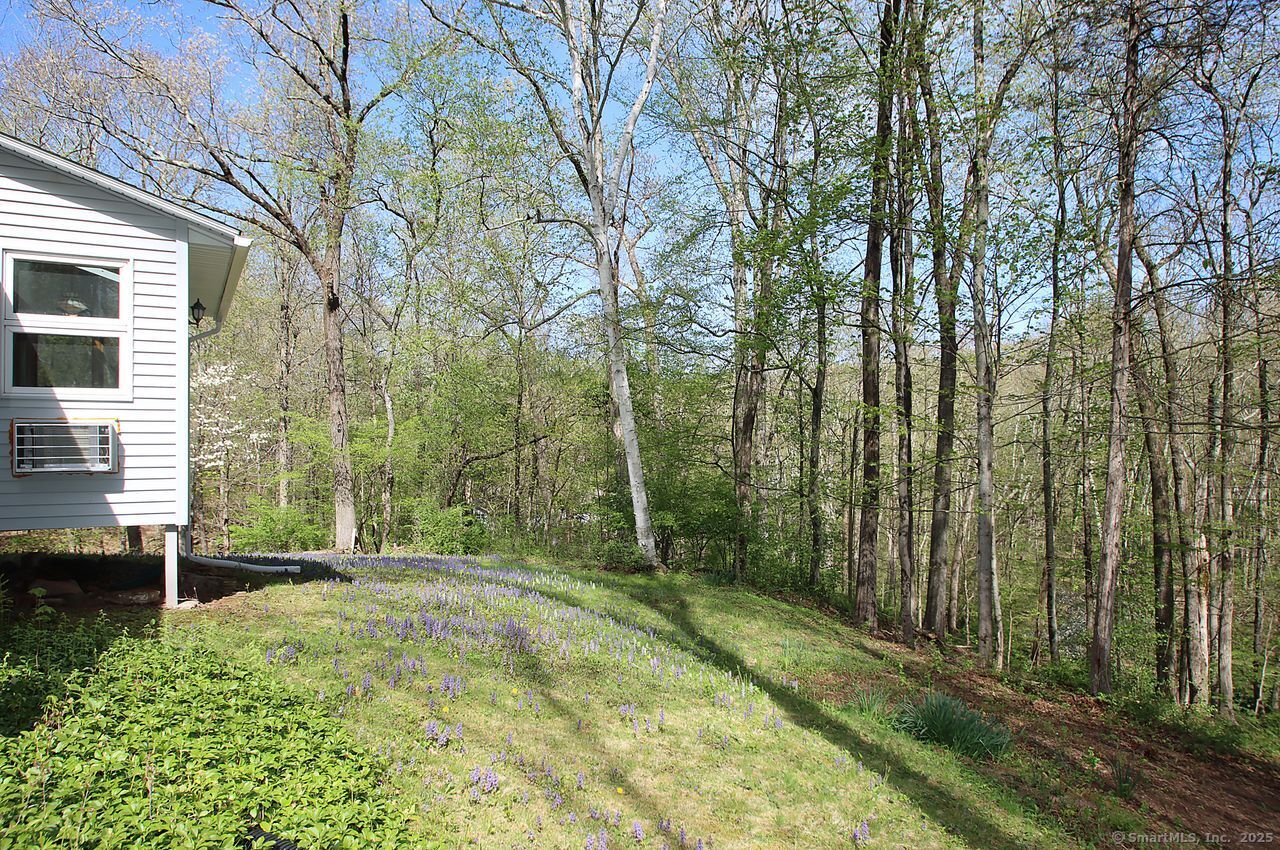 175 Old Lane, Hamden, Connecticut 06410