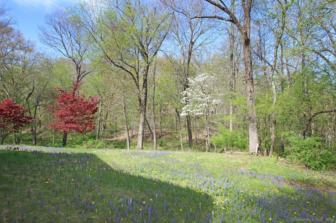 175 Old Lane, Hamden, Connecticut 06410