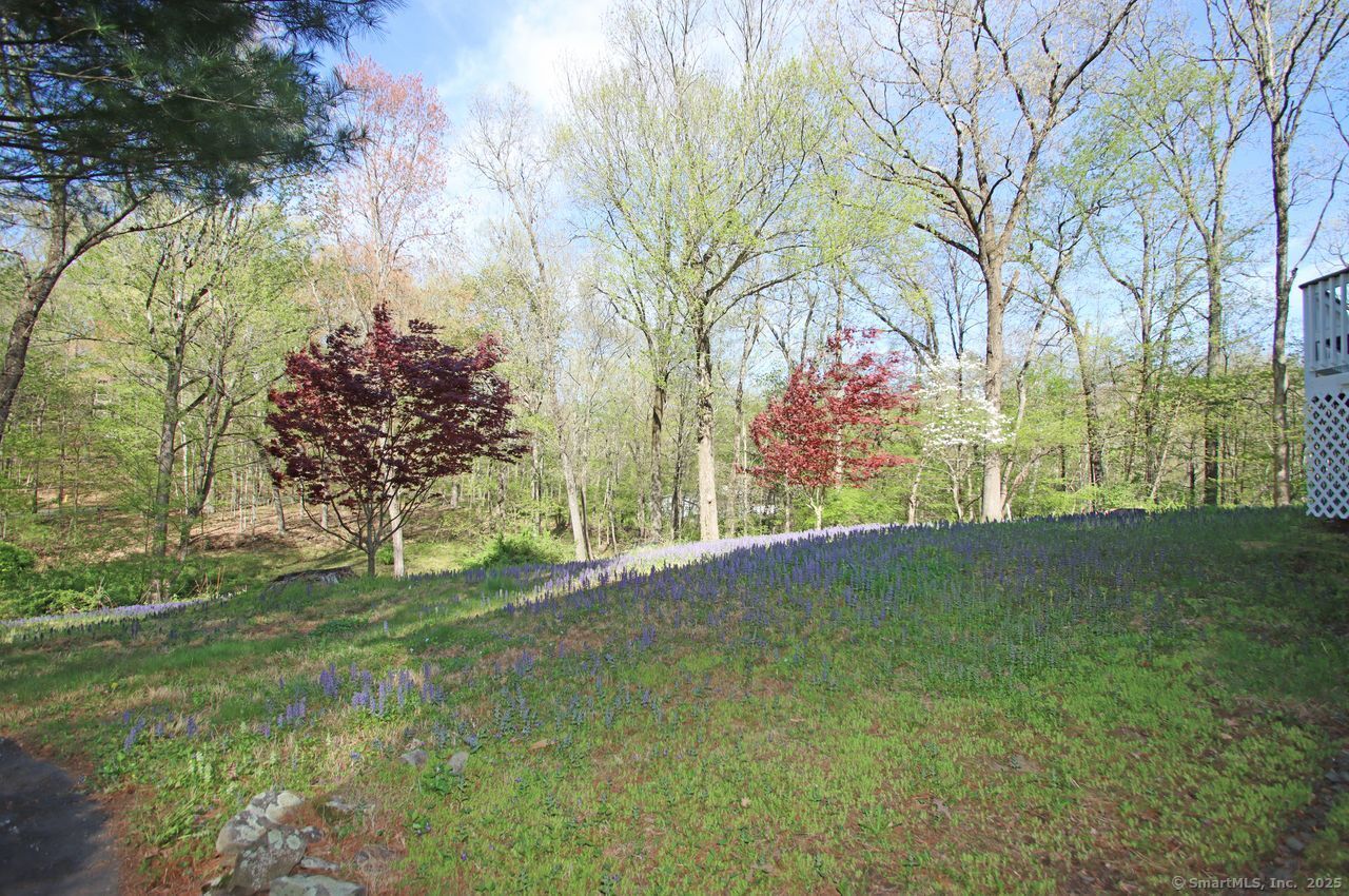 175 Old Lane, Hamden, Connecticut 06410