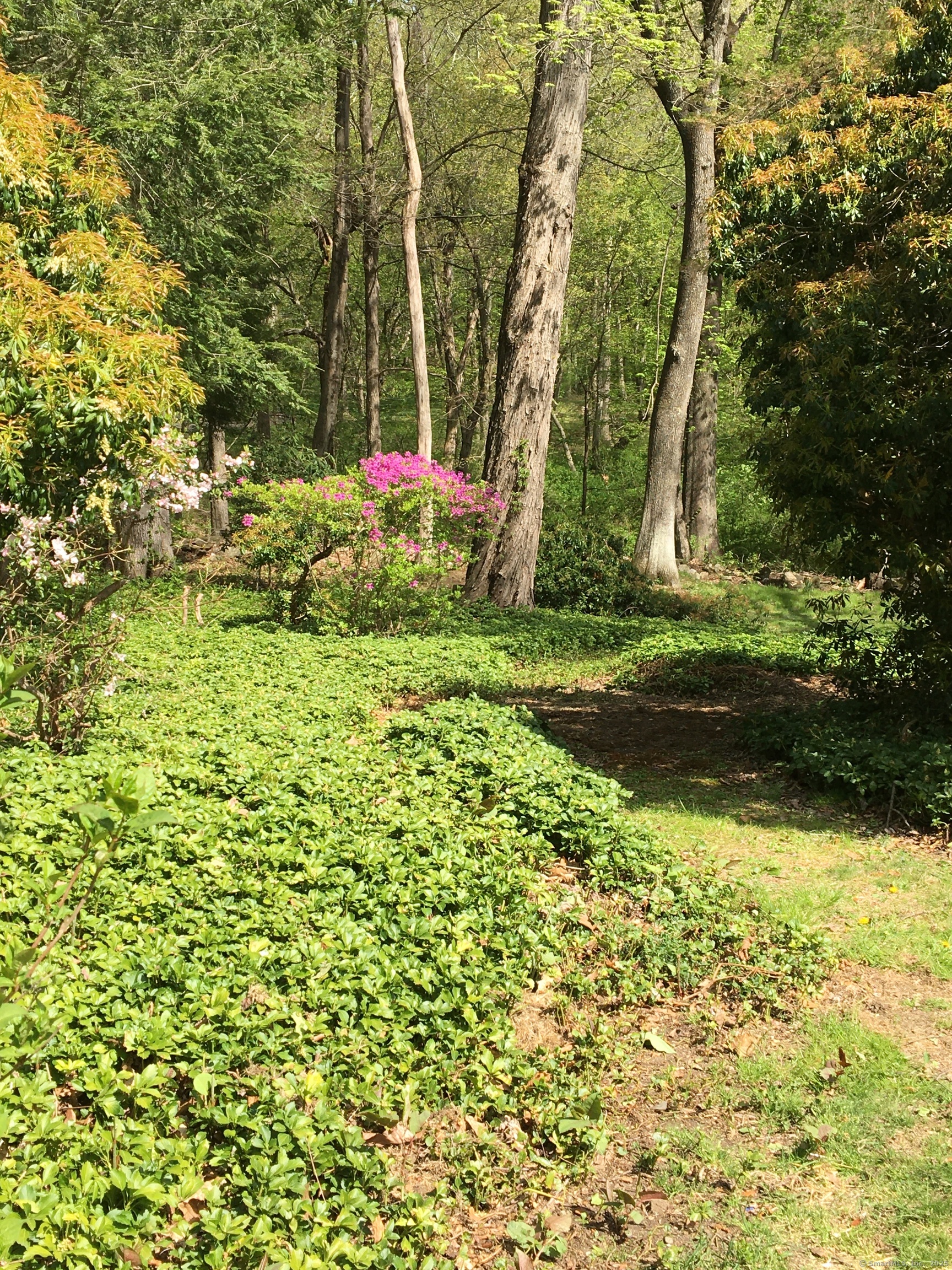 119 Pease, Woodbridge, Connecticut 06525