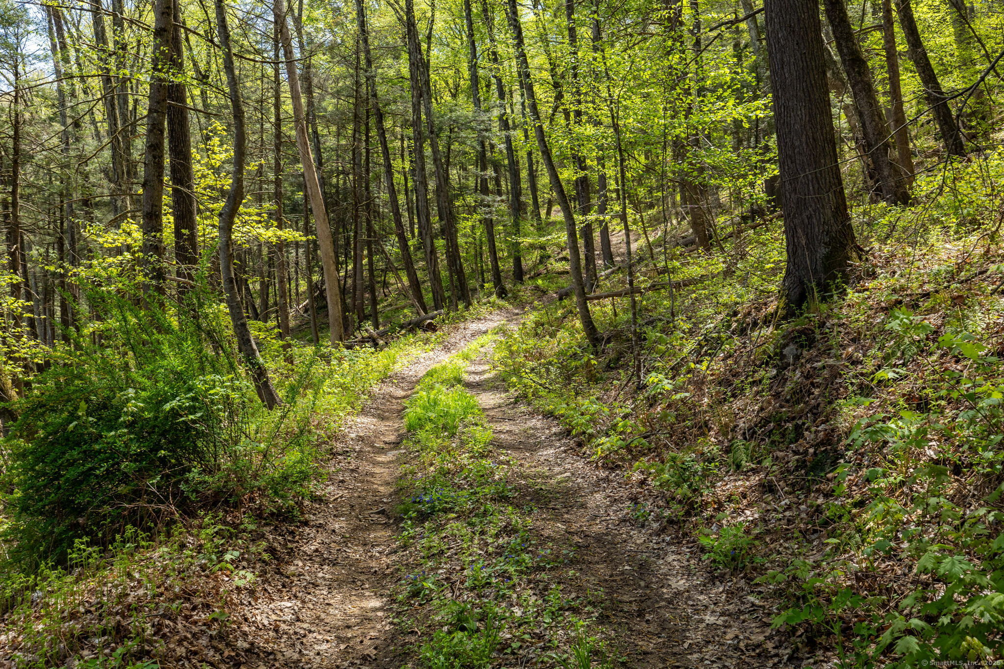 17 Cedar Hill, New Milford, Connecticut 06755
