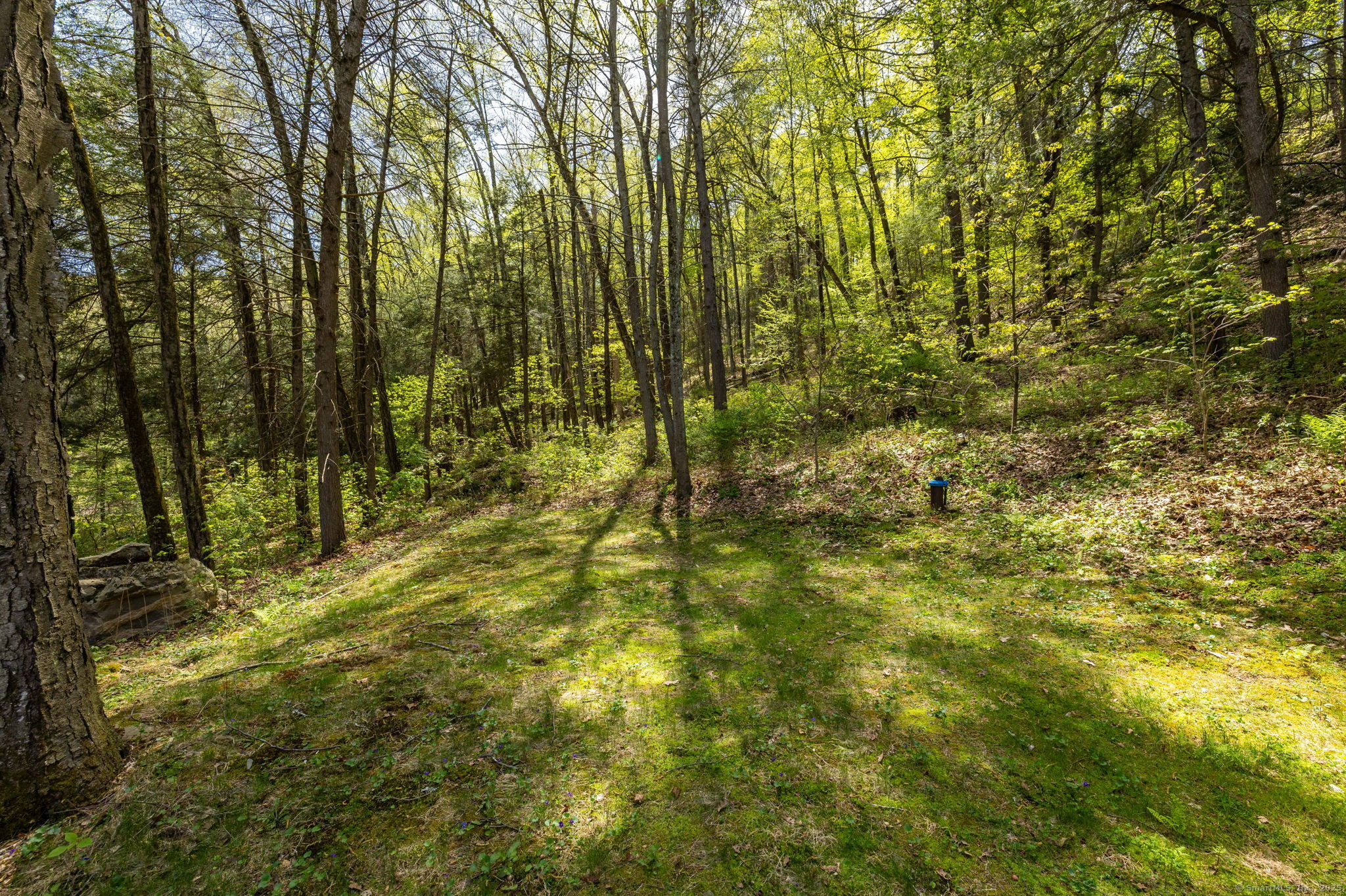 17 Cedar Hill, New Milford, Connecticut 06755