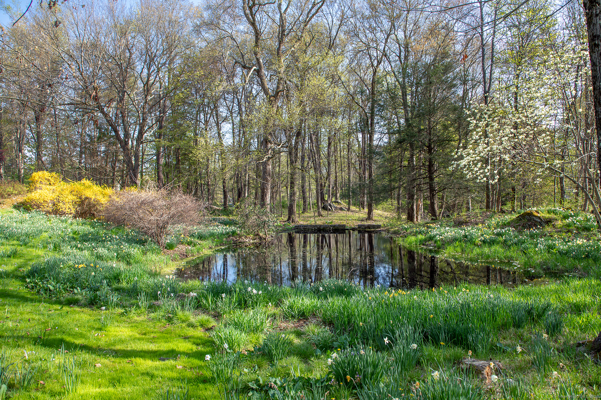 39 Fern, Litchfield, Connecticut 06759