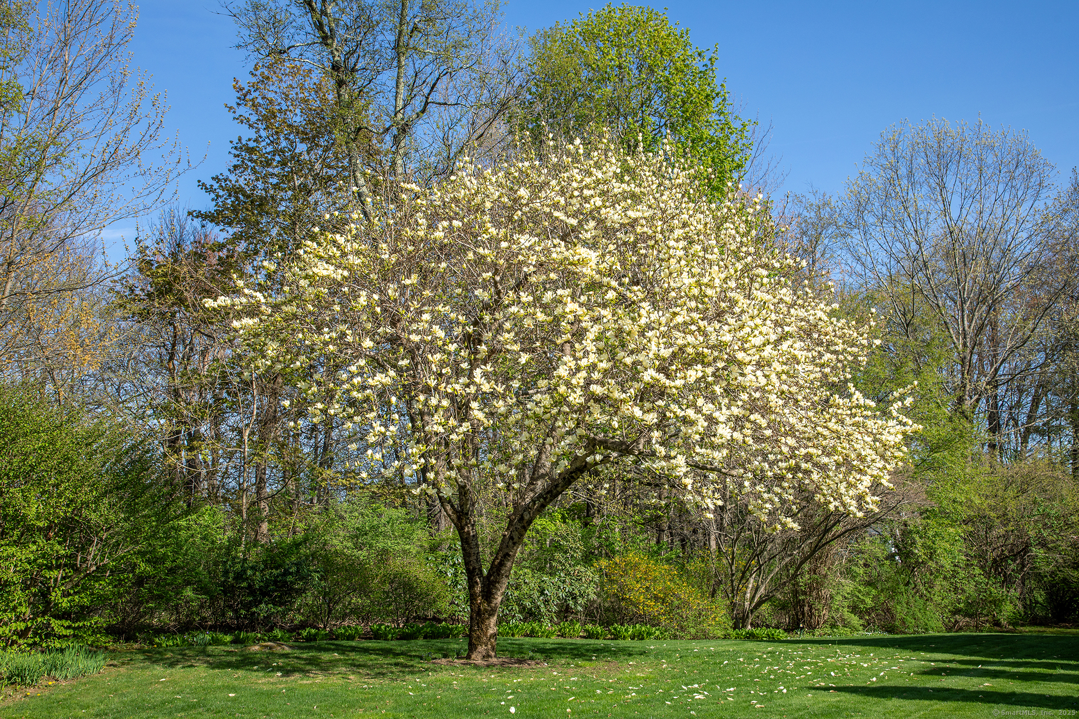 39 Fern, Litchfield, Connecticut 06759