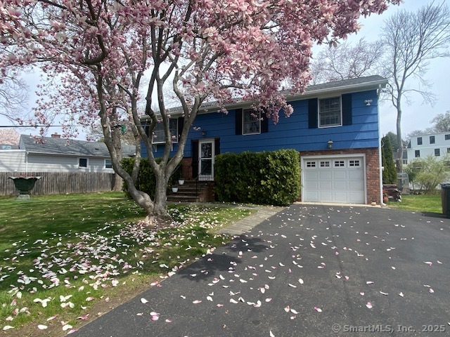 46 Stamford, Stamford, Connecticut 06902