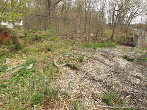 Homes for sale in Bridgeport, CT | 213 Exeter St, Bridgeport, CT 06606 | MLS# 24093198