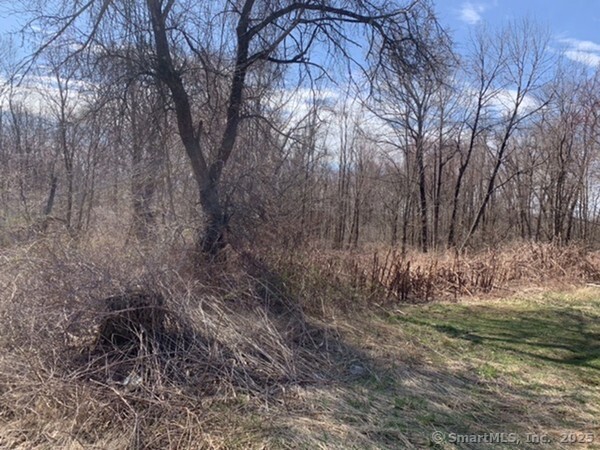 Homes for sale in Unknown Ma, MA | 1212 Southbridge Rd, Unknown Ma, MA 01083 | MLS# 24093265