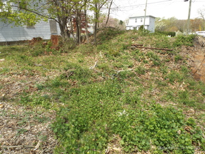 Homes for sale in Bridgeport, CT | 219 Exeter St, Bridgeport, CT 06606 | MLS# 24093309