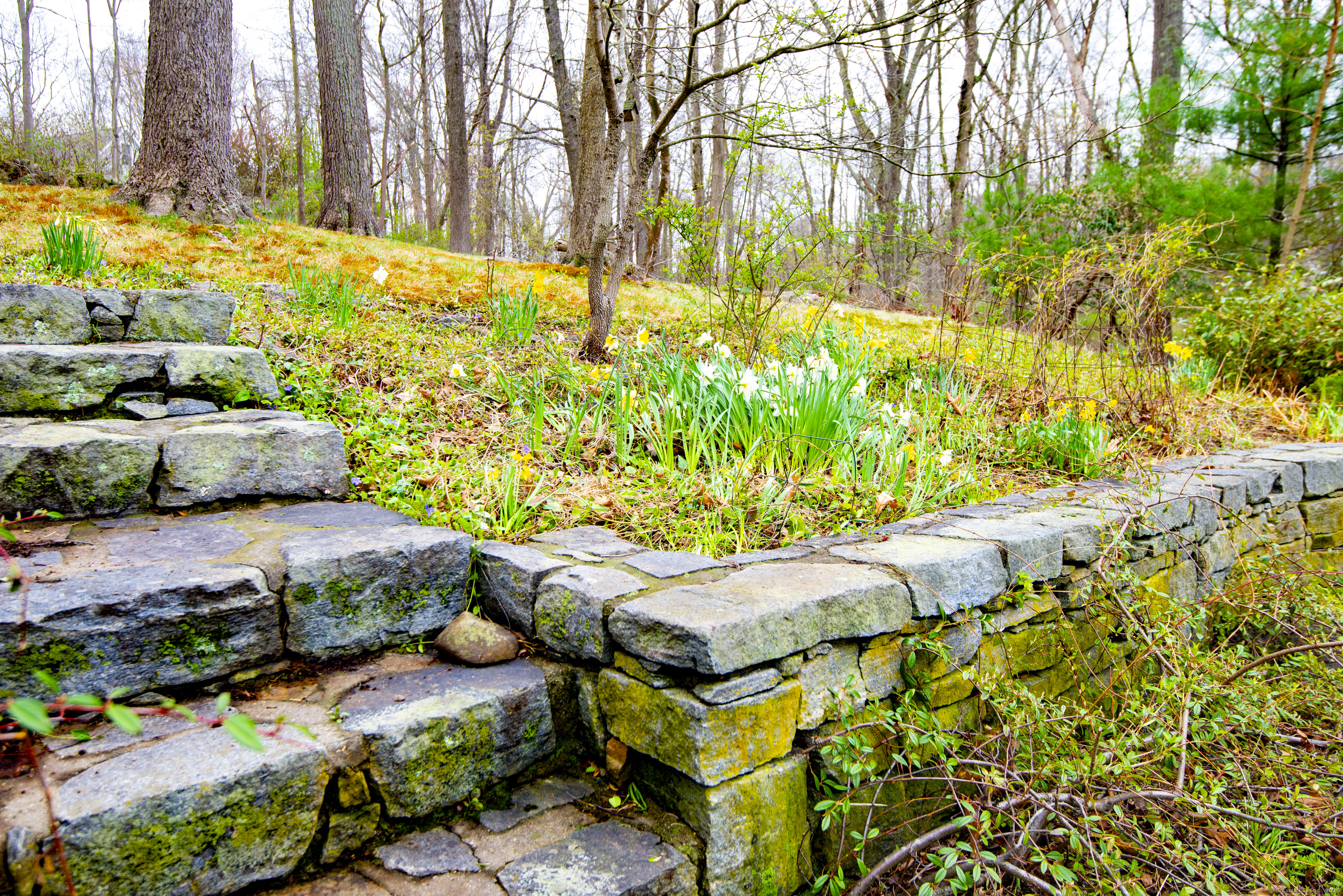 102 Colonial, Guilford, Connecticut 06437