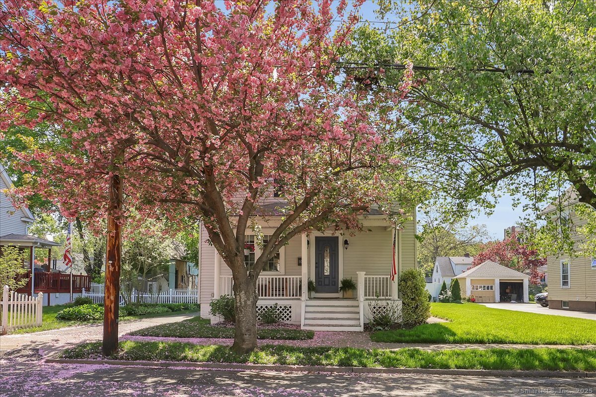 109 William, Wallingford, Connecticut 06492