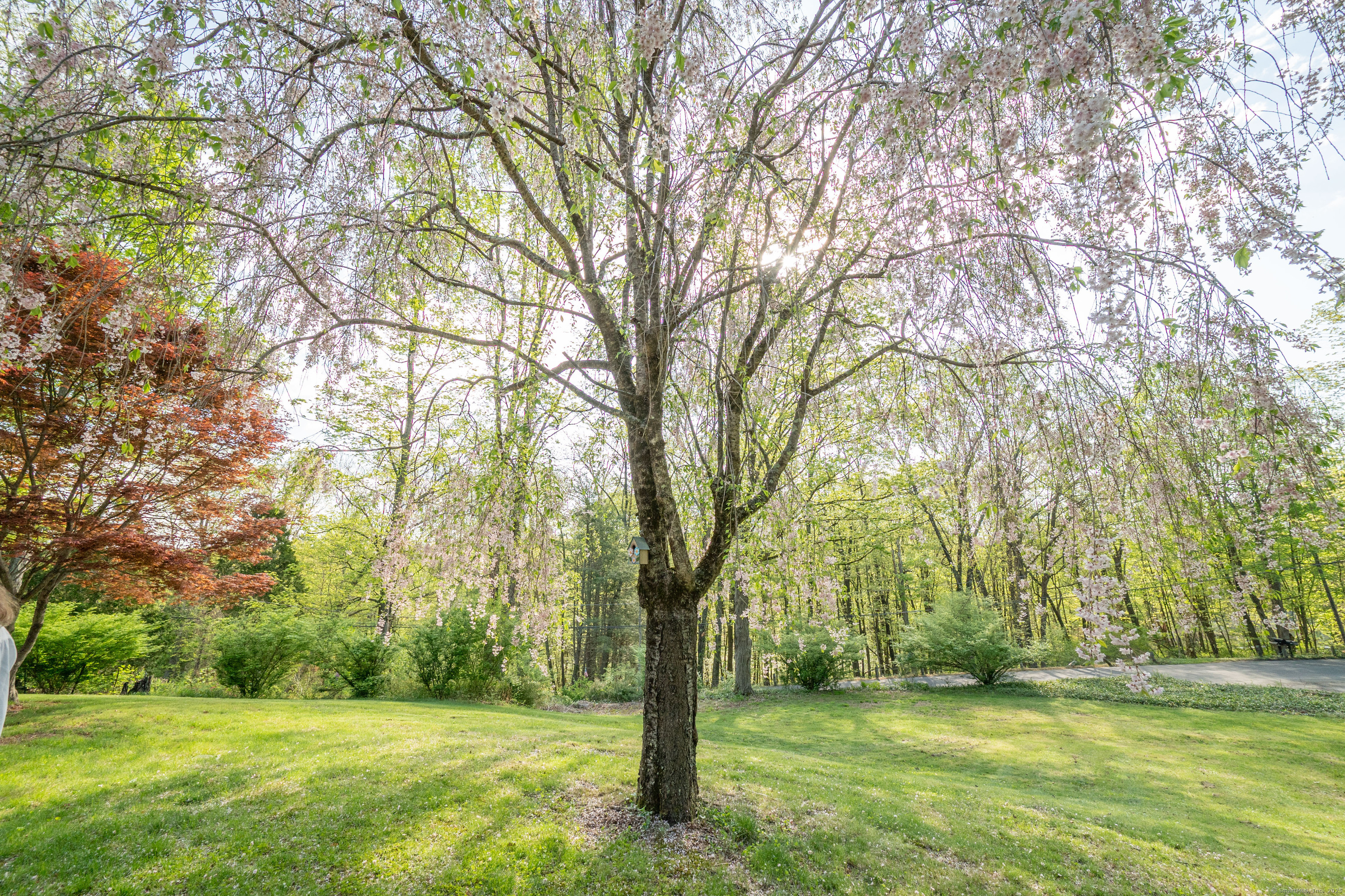 103 Squash Hollow, New Milford, Connecticut 06776