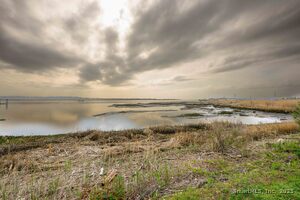 Homes for sale in Stratford, CT | 1460 Elm St #132, Stratford, CT 06615 | MLS# 24093723