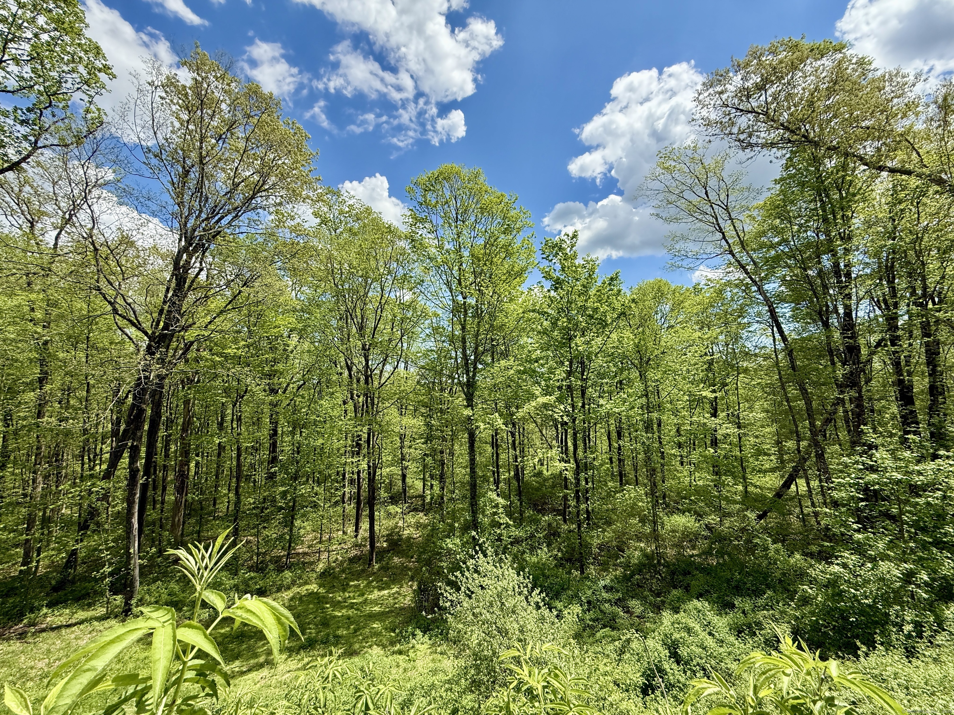 39 Peach Farm, Oxford, Connecticut 06478