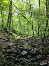 Homes for sale in Kent, CT | 00 Old Homestead Ln, Kent, CT 06785 | MLS# 24094269