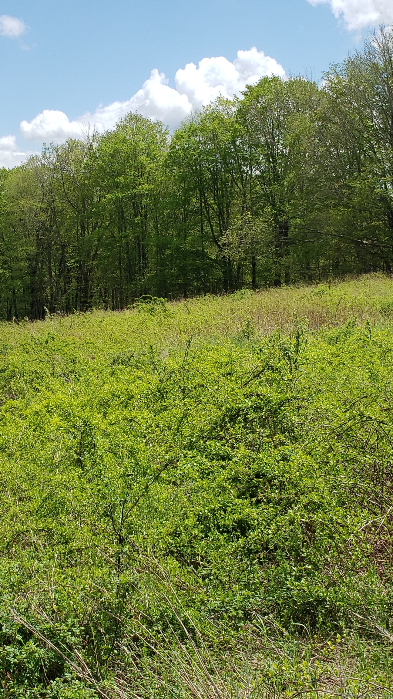 Lot 5 Milton, Goshen, 06756, ,Lots And Land For Sale,For Sale,Milton,24060767