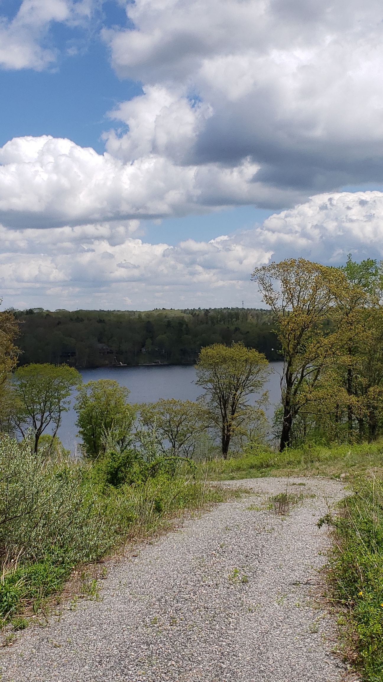 Lot 5 Milton, Goshen, 06756, ,Lots And Land For Sale,For Sale,Milton,24060767