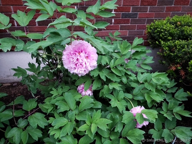 28 Fox Hollow, New Fairfield, Connecticut 06812