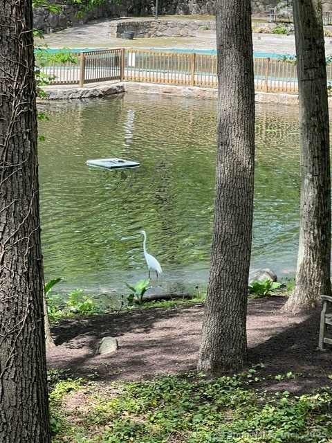 50 Aiken, Norwalk, Connecticut 06851