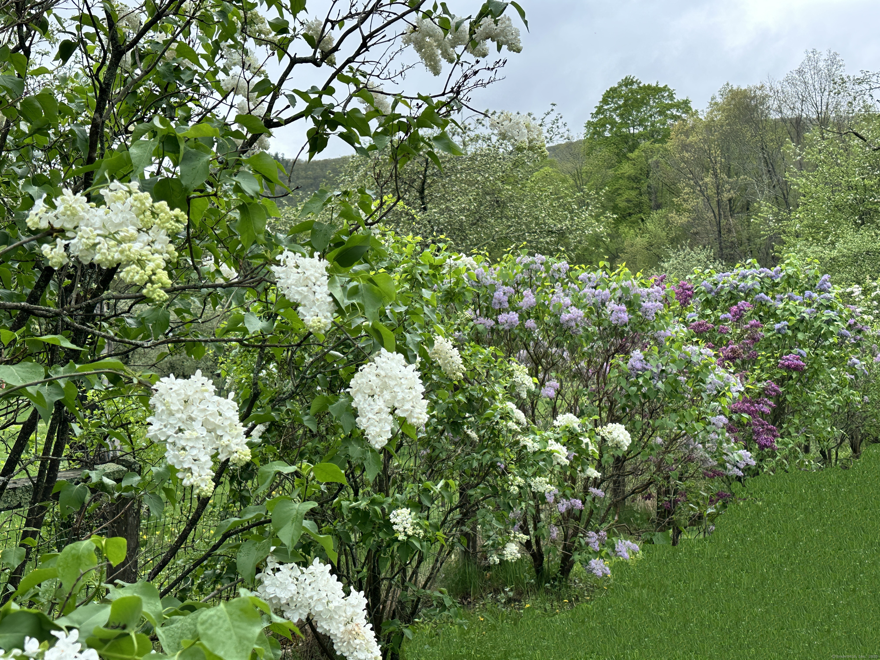 Homes for sale in Sheffield, MA | 1786 S Undermountain Rd, Sheffield, MA 02157 | MLS# 24093952