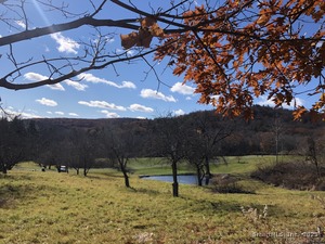 Homes for sale in Hartland, CT | 150b Peck Orchard Rd, Hartland, CT 06027 | MLS# 24093775