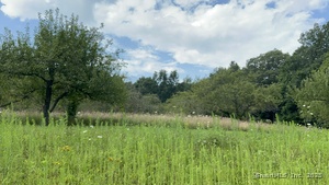 Homes for sale in Hartland, CT | 150B Peck Orchard Rd, Hartland, CT 06027 | MLS# 24093775