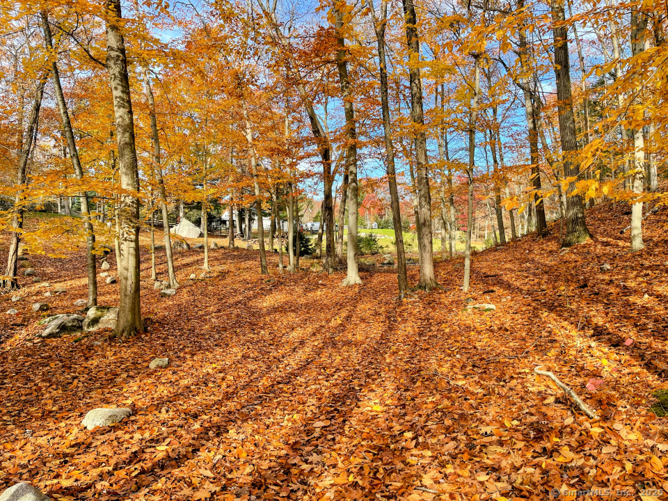58 Botsford Hill, Newtown, Connecticut 06470