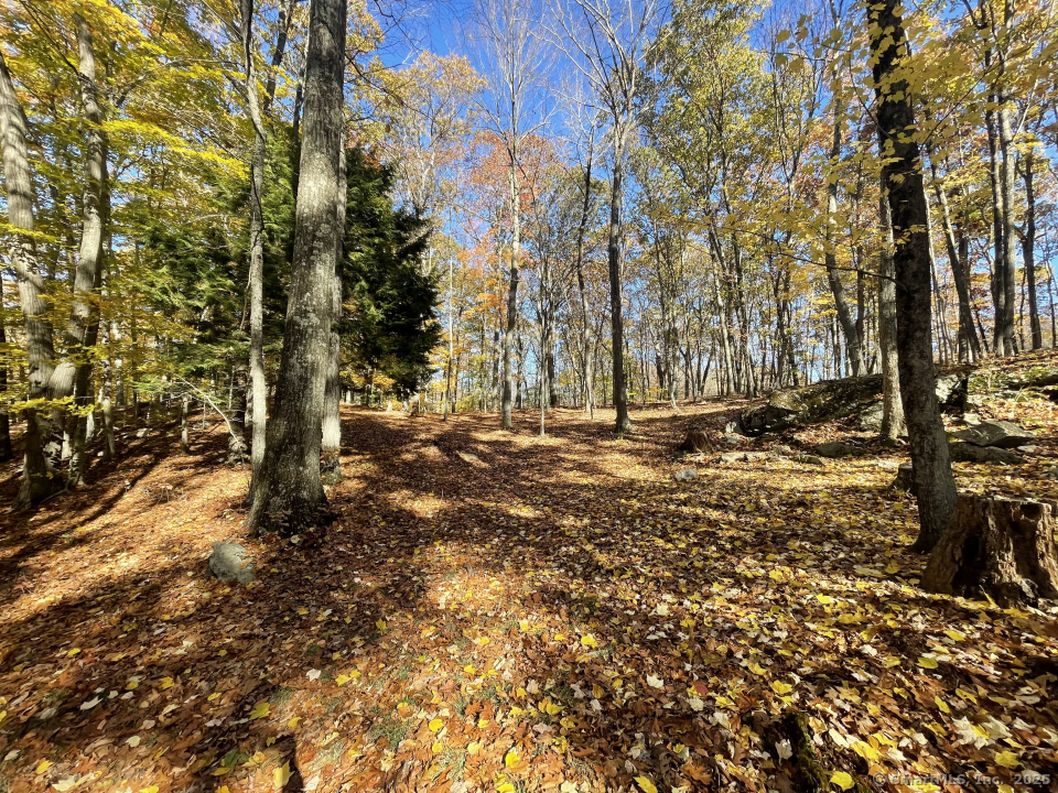 58 Botsford Hill, Newtown, Connecticut 06470