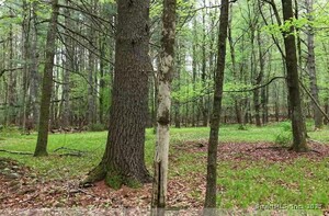 Homes for sale in Thompson, CT | 597 East Thompson Rd #Lot 10C, Thompson, CT 06277 | MLS# 24094651