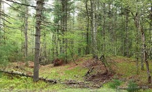 Homes for sale in Thompson, CT | 597 East Thompson Rd #Lot 10C, Thompson, CT 06277 | MLS# 24094651