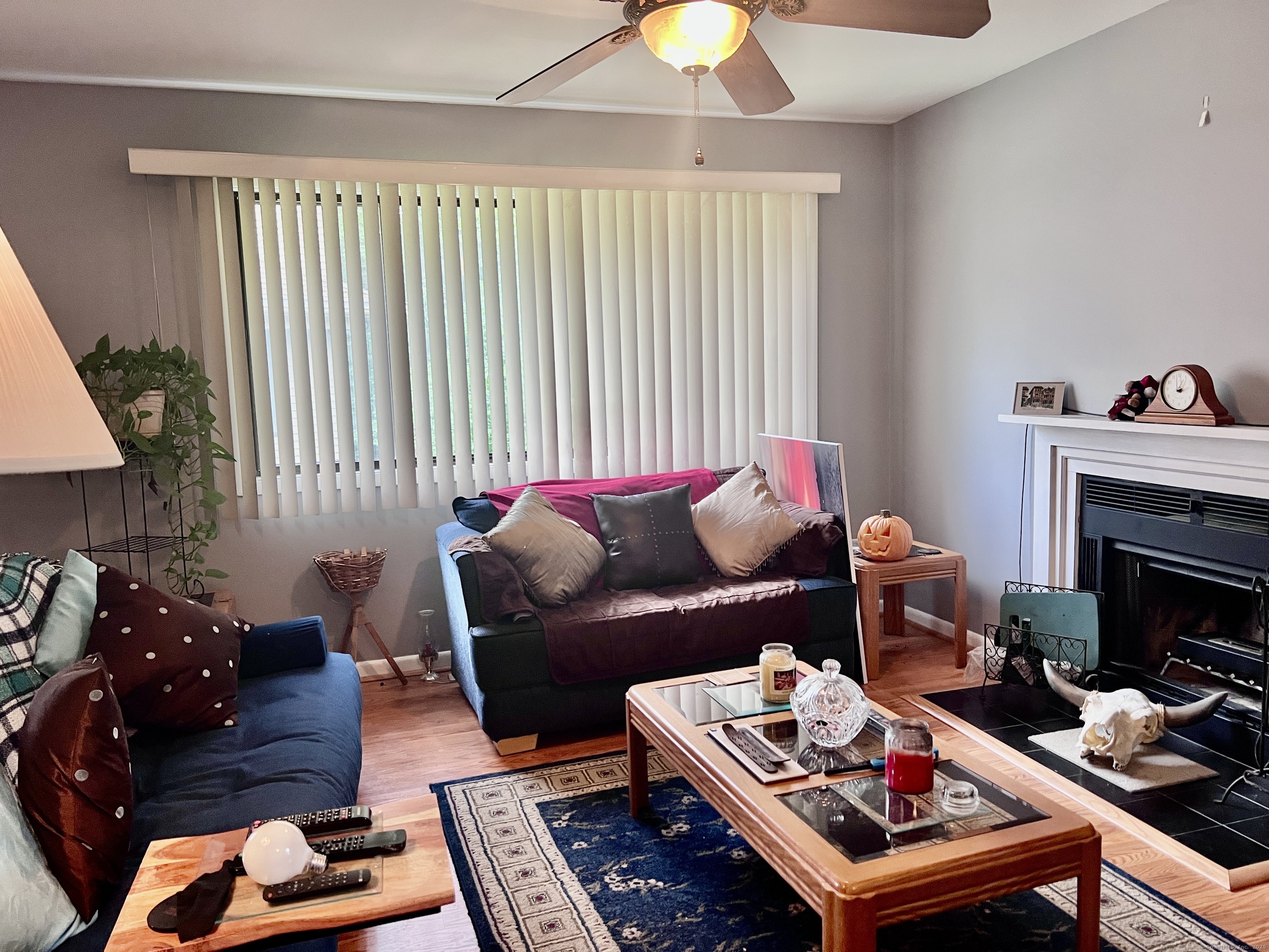 210 Treadwell, Hamden, Connecticut 06517