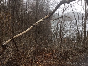 Homes for sale in East Haven, CT | 153 Grannis St, East Haven, CT 06512 | MLS# 24095425