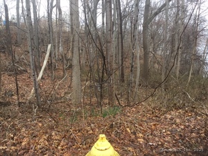 Homes for sale in East Haven, CT | 153 Grannis St, East Haven, CT 06512 | MLS# 24095425