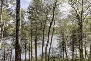 Homes for sale in Norfolk, CT | (Undisclosed), Norfolk, CT 06058 | MLS# 24095480