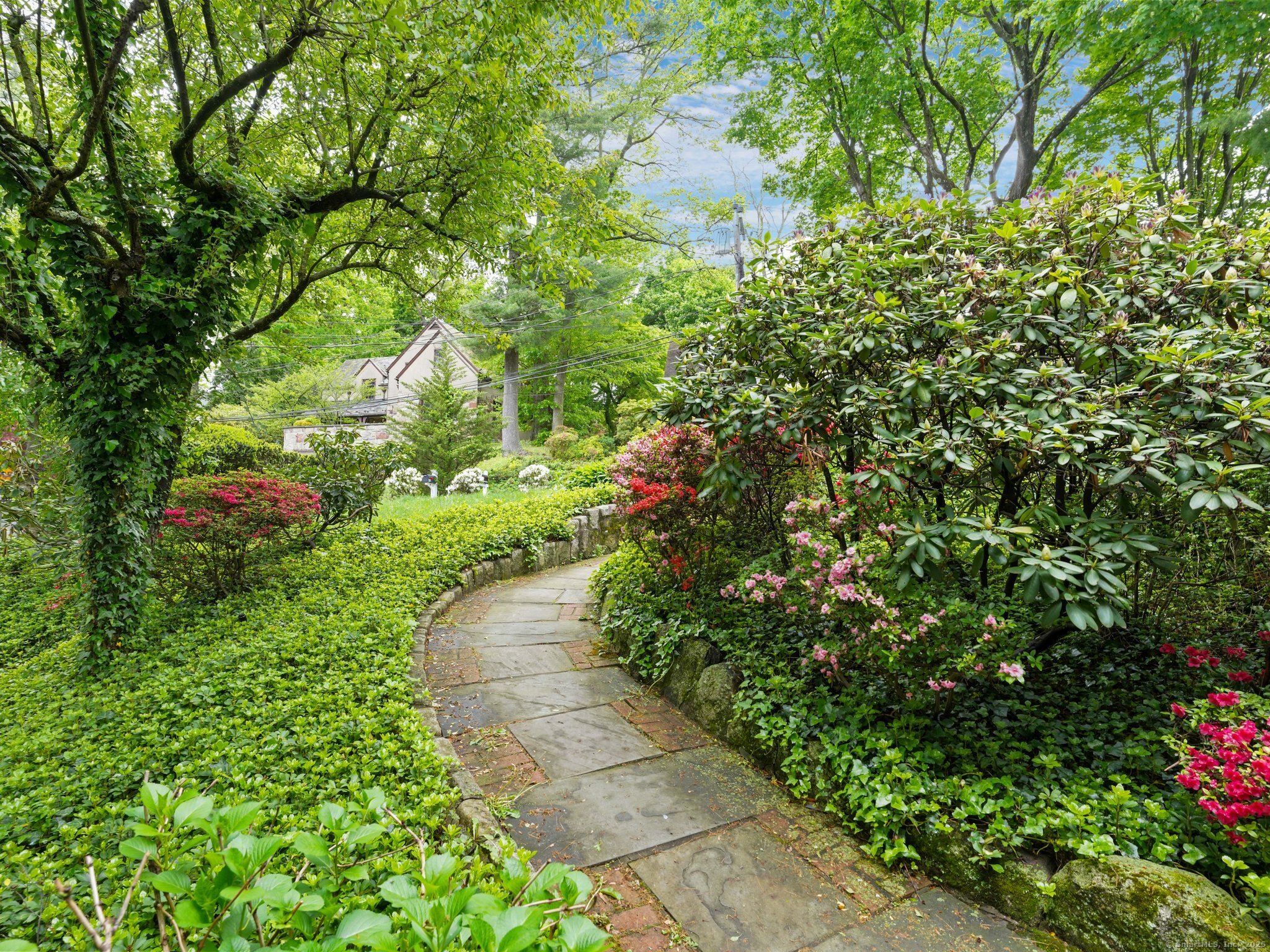 245 Sycamore Terrace