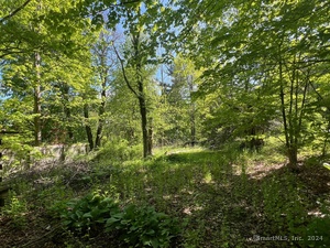 Homes for sale in Torrington, CT | 353a Hayden Hill Rd, Torrington, CT 06790 | MLS# 24096321