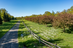 Homes for sale in Washington, CT | 158 Popple Swamp Rd, Washington, CT 06794 | MLS# 24094655