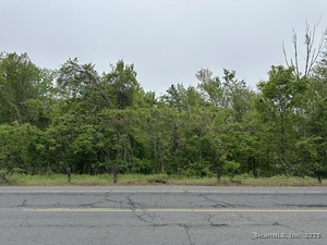 Homes for sale in Prospect, CT | 66 Union City Rd, Prospect, CT 06712 | MLS# 24095321