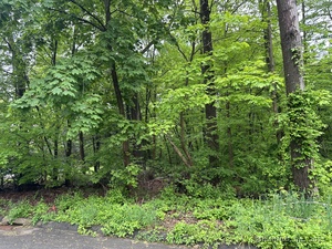 Homes for sale in Prospect, CT | 66 Union City Rd, Prospect, CT 06712 | MLS# 24095321