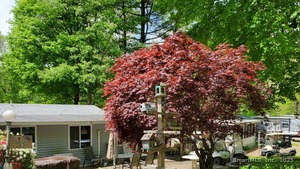 Homes for sale in Stafford, CT | 8 South Rd #WW4, Stafford, CT 06076 | MLS# 24096668