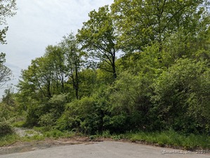 Homes for sale in Torrington, CT | 00 Wimbledon Gate N, Torrington, CT 06790 | MLS# 24096836